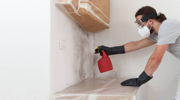 Professional Crawl Space Mold Remediation technician working in Dedham, MA