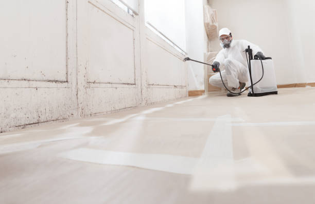 24/7 Emergency Crawl Space Mold Remediation experts in Dedham, MA